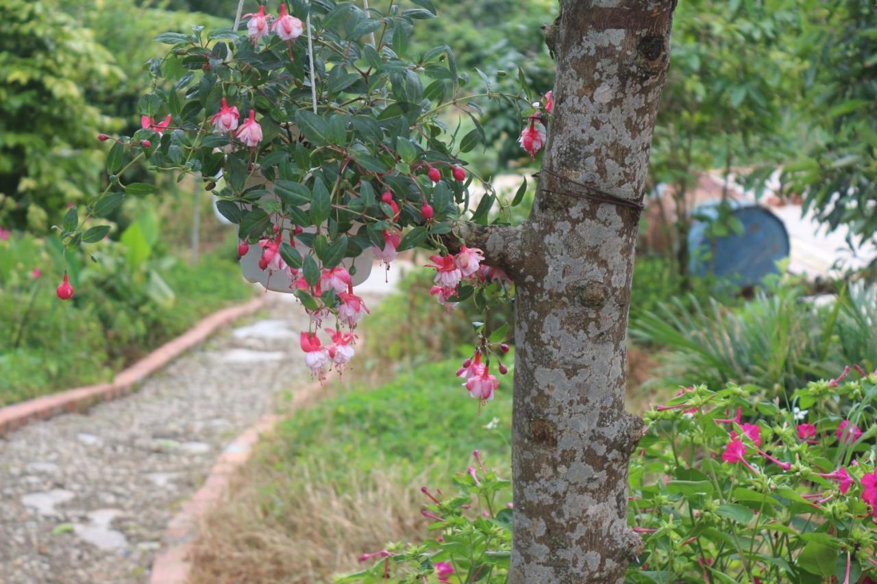 Thang Nam Ruc Ro - Dalat Homestay Exterior photo